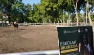 UGM kembangkan pusat kajian dan pelatihan olahraga berkuda
