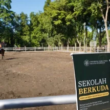 UGM kembangkan pusat kajian dan pelatihan olahraga berkuda
