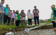 Pemko Pariaman Gelar Tanam Perdana Padi Teknologi PM-AAS di Kelompok Tani “Kito Samolah”