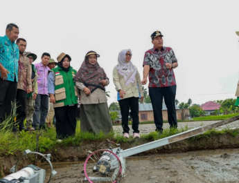 Pemko Pariaman Gelar Tanam Perdana Padi Teknologi PM-AAS di Kelompok Tani “Kito Samolah”